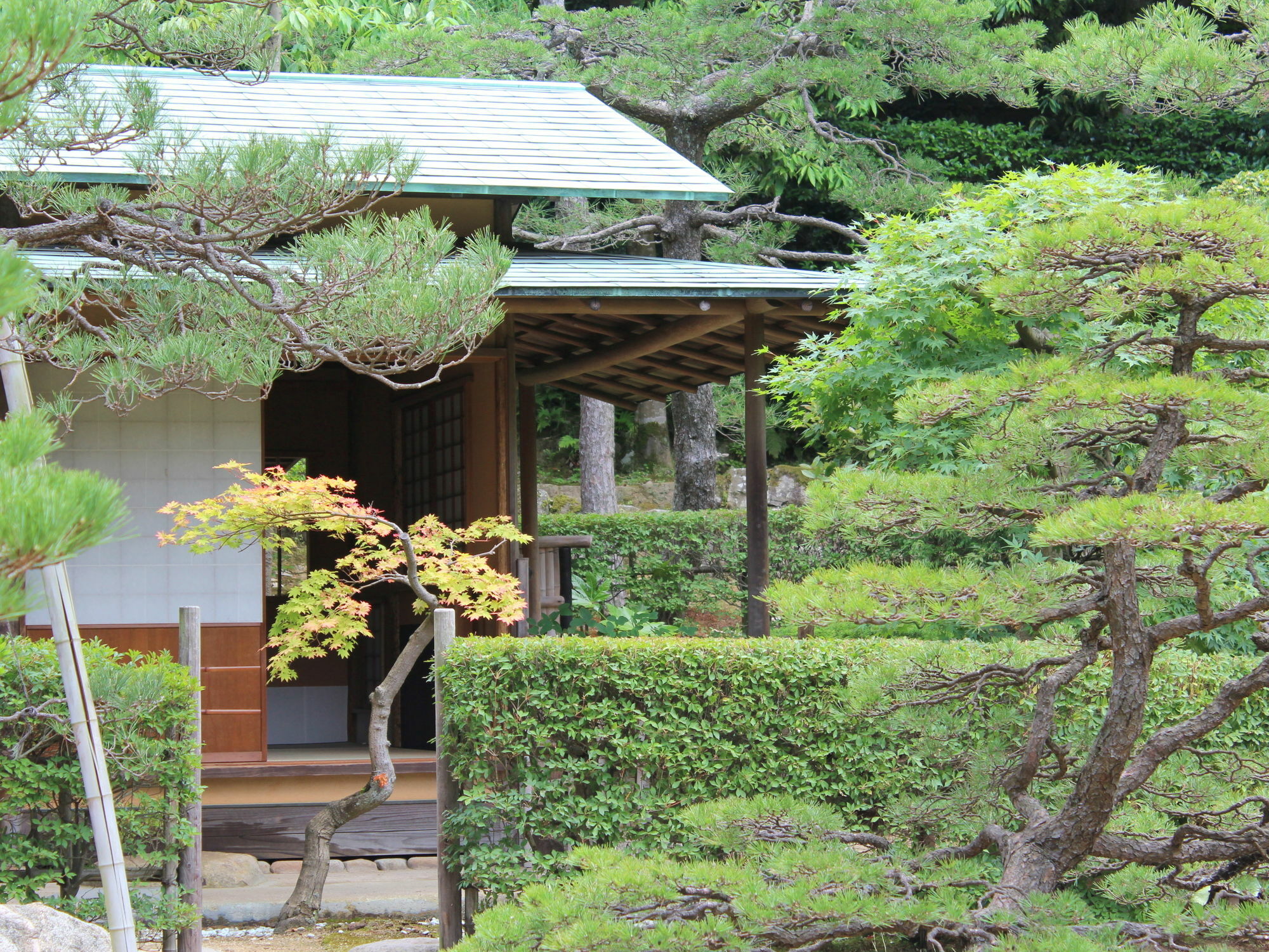 Hotel Gyokusen Matsue Exterior photo